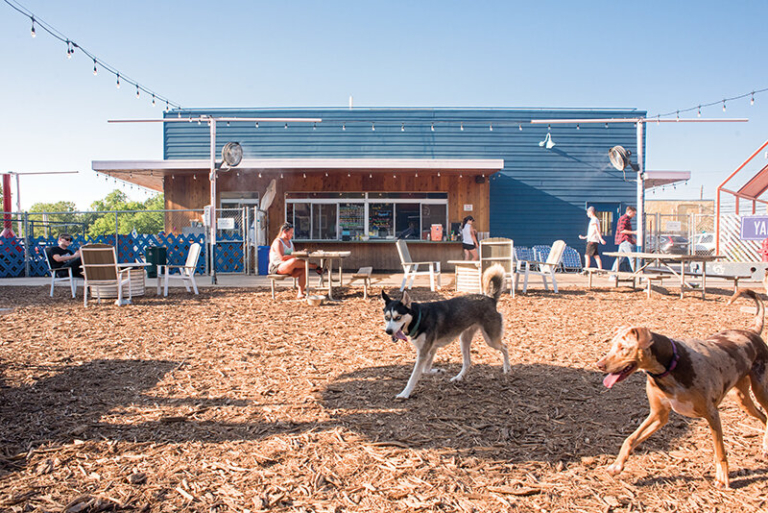 An outdoor bar where people are lounging, and doggies are running around playing.